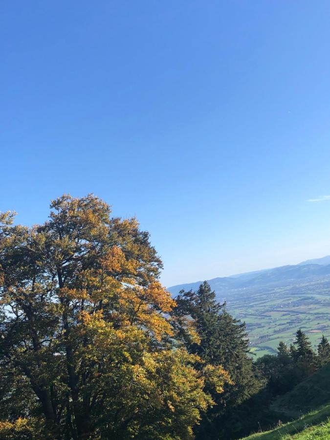 Montlinger Schwamm Hotel Oberriet Bagian luar foto